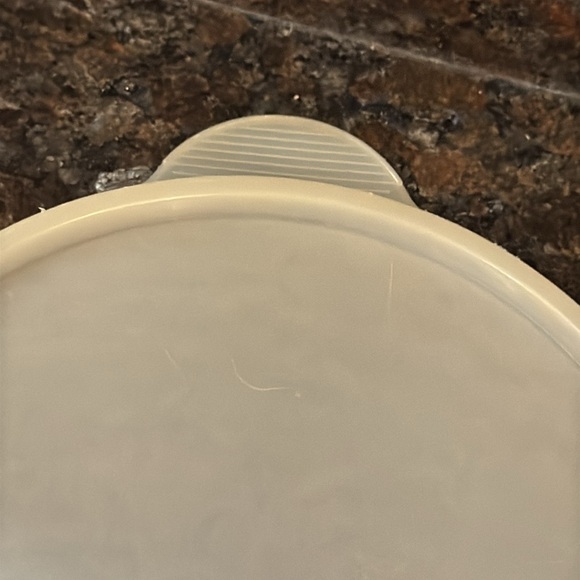 VTG Clear Tupperware Oval Food Storage (Ham) Container Bowl with Lid - Picture 8 of 14